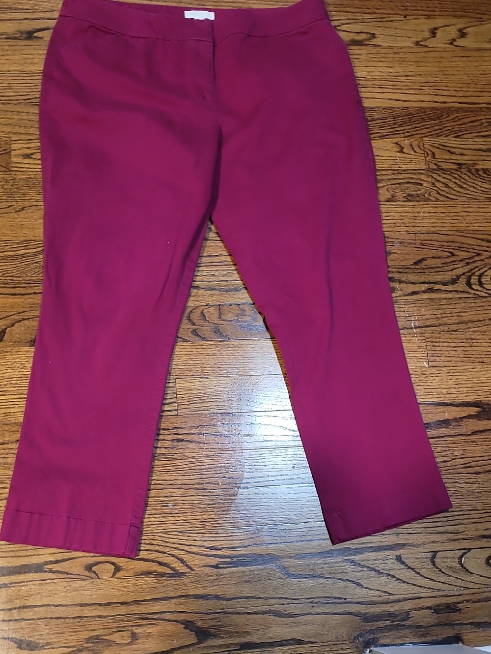 New York & Company Deep Burgundy Cropped  Pants